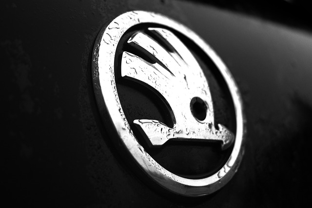 Logo Auto Škoda